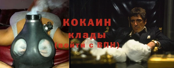 тгк Аркадак